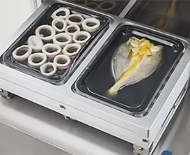 Floor Type Vacuum Skin Packaging Machine