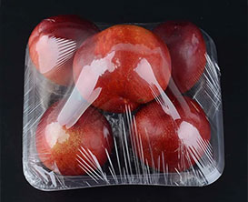 Food Wrapping Machine