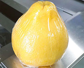 Food Wrapping Machine