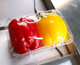 Food Wrapping Machine