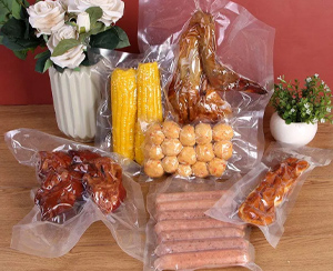Practical Floor-Standing Vacuum Packaging Machine