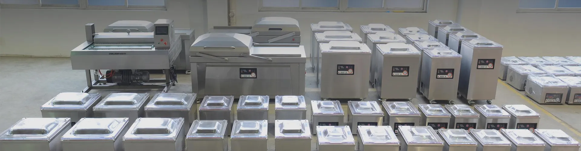 Vacuum Packaging Machine