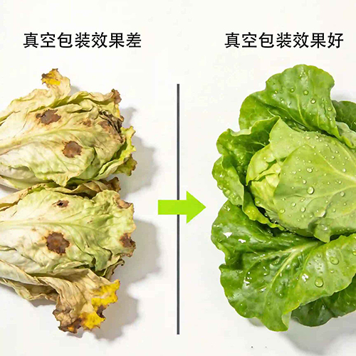 split photo fresh vs wilted vegetables vacuum seal failure